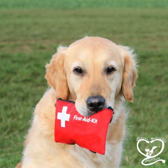 Botiquín de primeros auxilios para mascotas