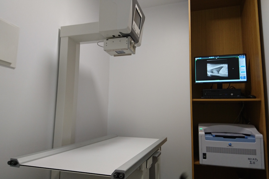 equipo de radilogía digital y de alta calidad en Centro Veterinario Arakela. Mayor rapidez y menos exposición